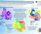 Ludność w województwie kujawsko-pomorskim w 2016 r. (infografika) Foto