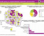 Warunki pracy w województwie kujawsko-pomorskim (infografika) Foto