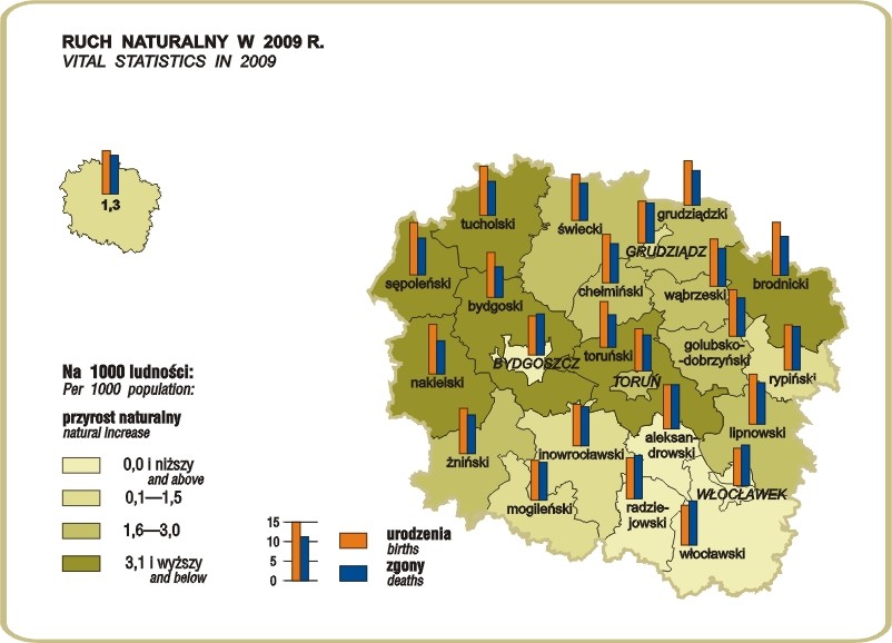 Urząd Statystyczny W Bydgoszczy Publikacje Województwo Kujawsko Pomorskie 2013 Podregiony 6775