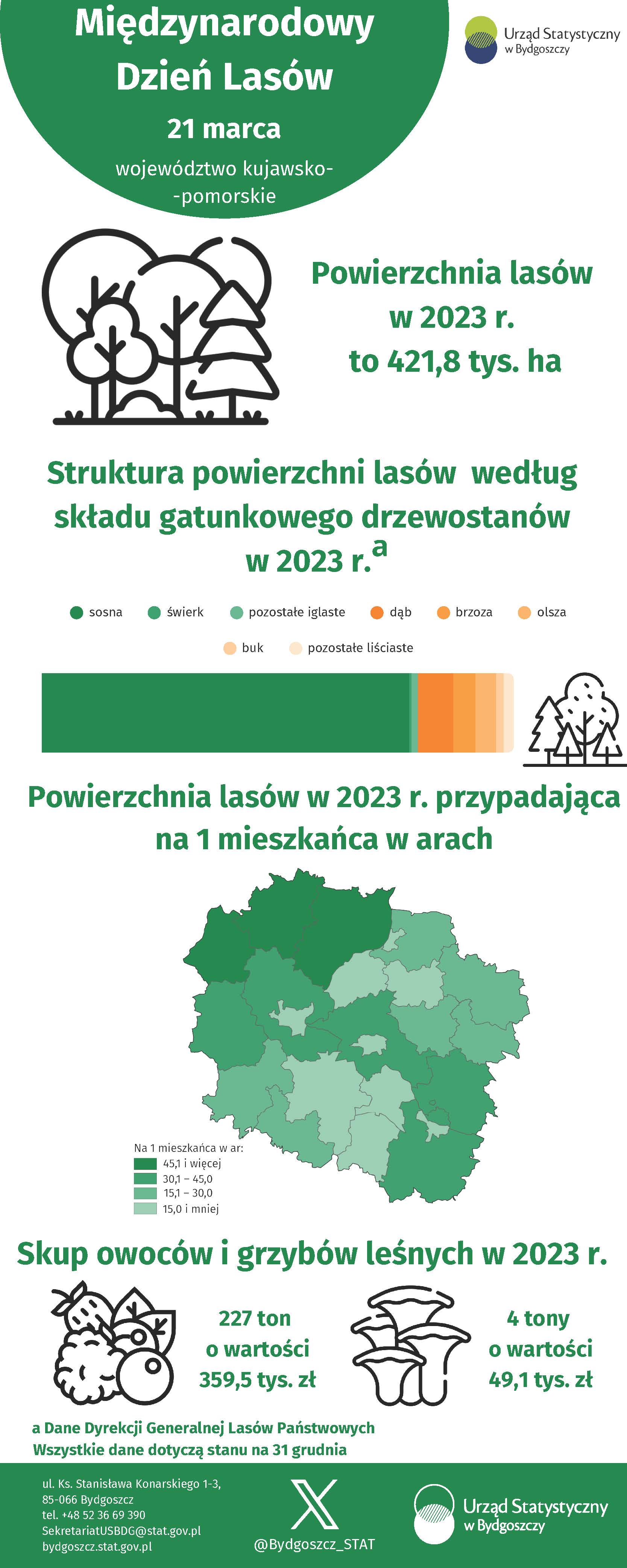 21 marca. Międzynarodowy Dzień Lasów (Infografika)