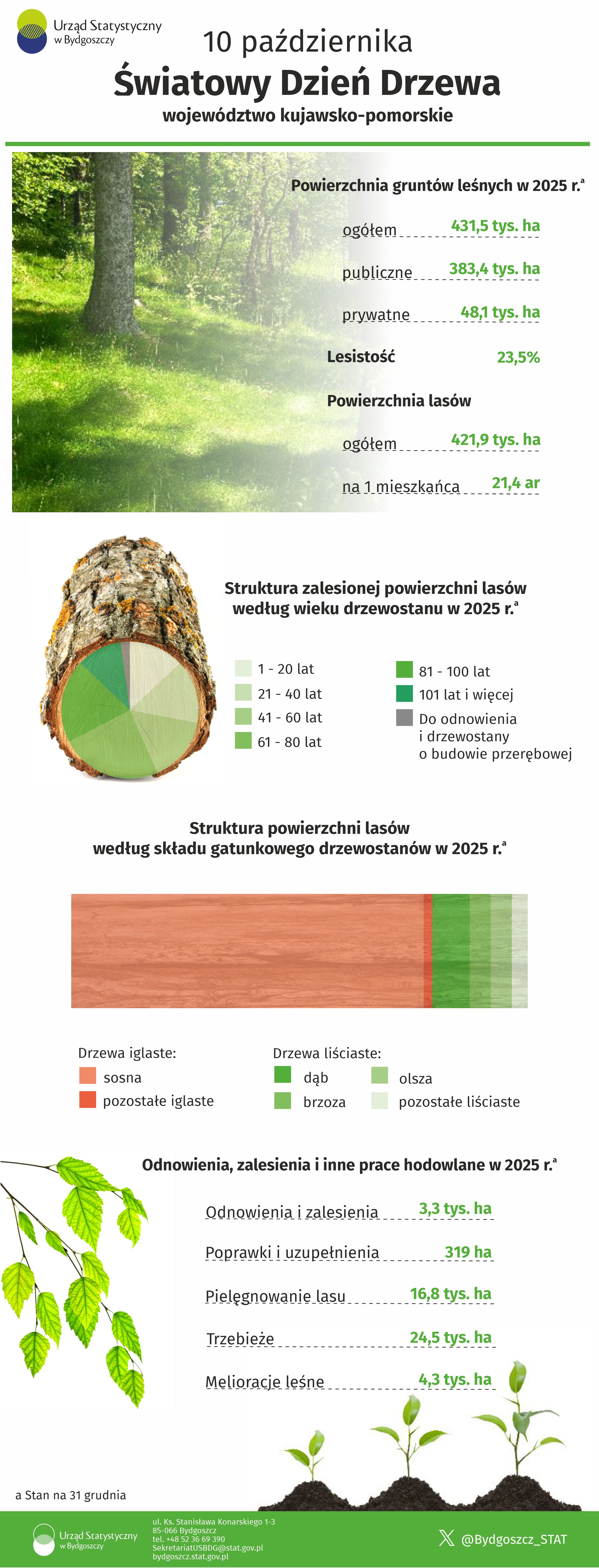 Światowy Dzień Drzewa w województwie kujawsko-pomorskim 2026 - infografika