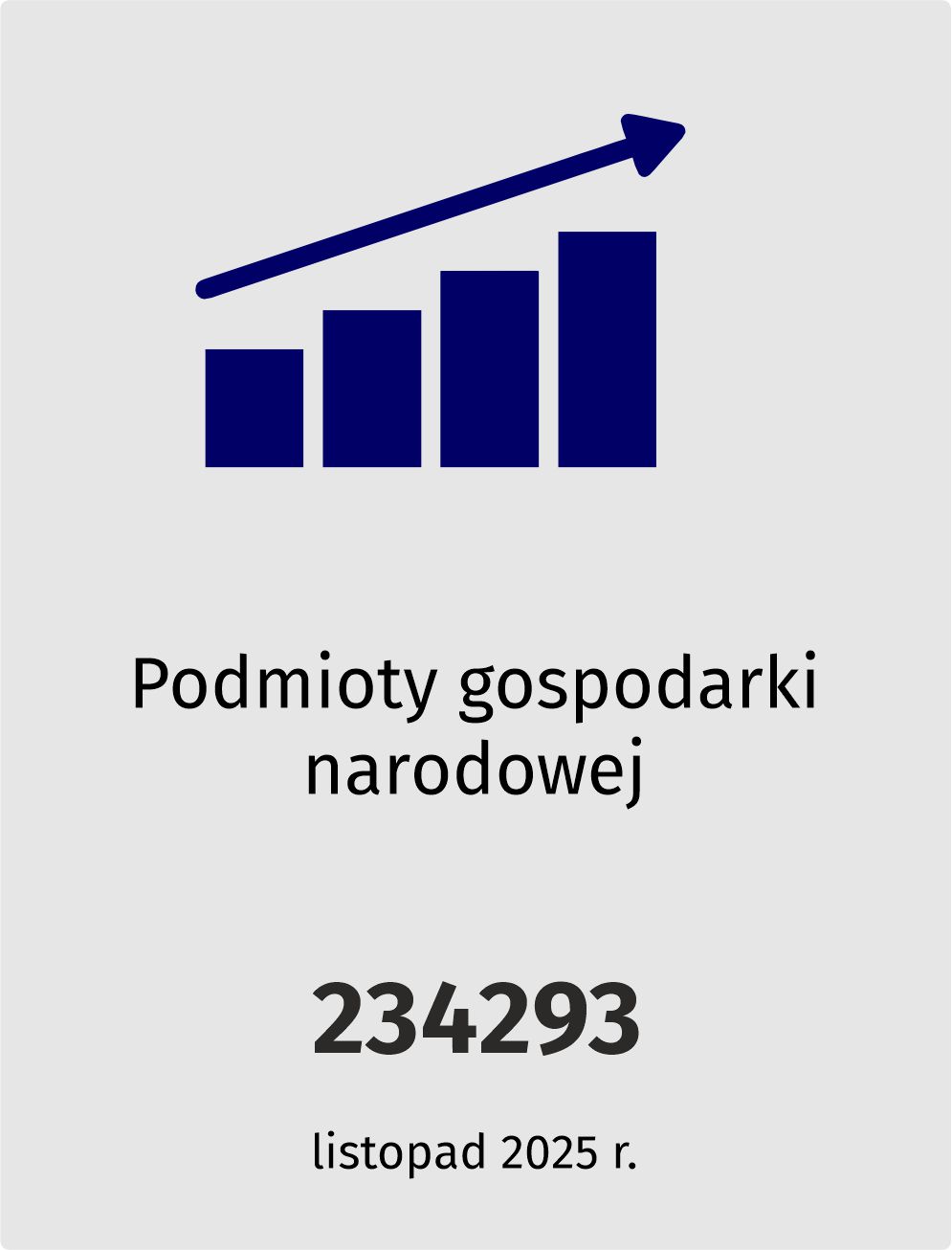 Podmioty gospodarki narodowej