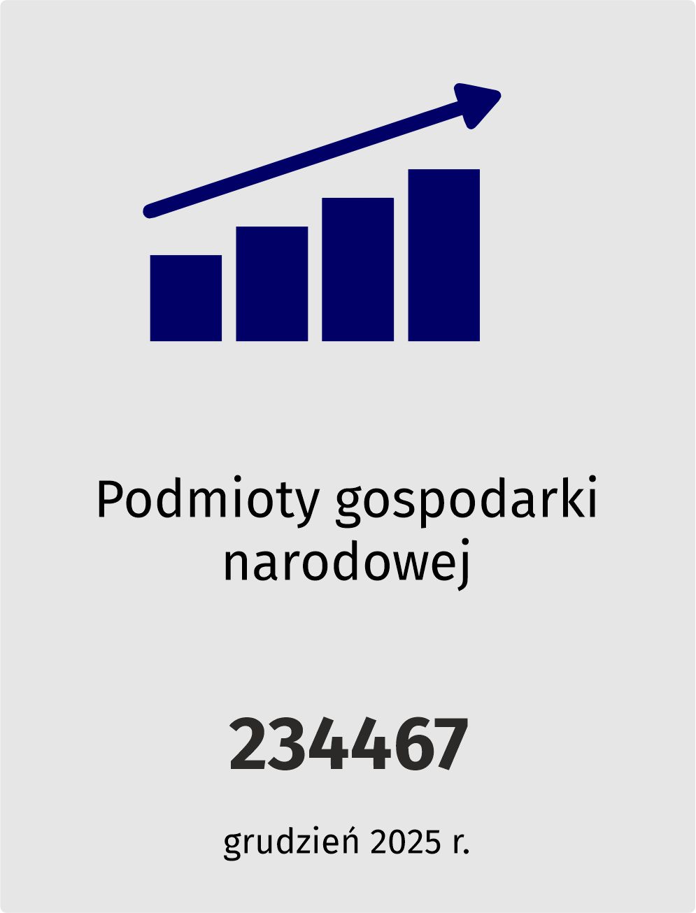 Podmioty gospodarki narodowej