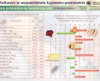 Ceny produktów na świąteczny stół (infografika) Foto