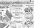 E-administracja w województwie kujawsko-pomorskim (infografika) Foto