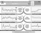 Bieżące statystyki z województwa kujawsko-pomorskiego luty 2017 r. (infografika) Foto
