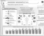 Urodziny Województwa (infografika) Foto