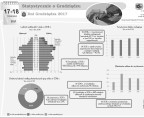 Statystycznie o Grudziądzu (infografika) Foto