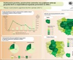 Użytkowanie gruntów, powierzchnia zasiewów oraz pogłowie zwierząt gospodarskich w województwie kujawsko-pomorskim w 2016 r. (infografika) Foto