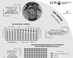 Dni Torunia (infografika) Foto