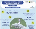 Kujawsko-Pomorska Gęsina na Świętego Marcina (Infografika) Foto