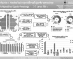 Statystycznie o mieszkańcach województwa kujawsko-pomorskiego - Święto Województwa Kujawsko-Pomorskiego 3-11 czerwca (infografika) Foto