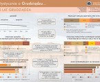 725 lat Grudziądza (infografika) Foto