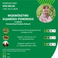 Województwo kujawsko-pomorskie w świetle Powszechnych Spisów Rolnych (Infografika) Foto