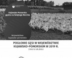 Kujawsko-Pomorska gęsina na Świętego Marcina (Infografika) Foto