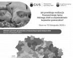 Jak przebiega realizacja Powszechnego Spisu Rolnego 2020? (Infografika) Foto