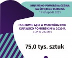 Kujawsko-Pomorska gęsina na Świętego Marcina (Infografika) Foto