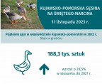 Kujawsko-Pomorska Gęsina na Świętego Marcina (Infografika) Foto