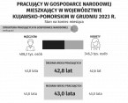Pracujący w gospodarce narodowej mieszkający w województwie kujawsko-pomorskim w 2023 r. (stan na 31 grudnia) - interaktywna infografika Foto