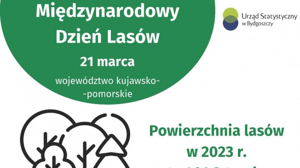 21 marca. Międzynarodowy Dzień Lasów (Infografika)