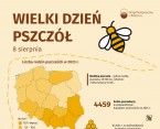 Wielki Dzień Pszczół (Infografika) Foto