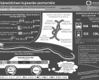 22 wrzesień – Międzynarodowy Dzień bez Samochodu (infografika) Foto
