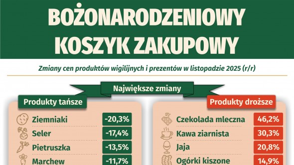 Bożonarodzeniowy koszyk zakupowy (Infografika)