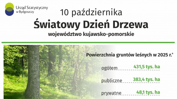 Światowy Dzień Drzewa (Infografika)