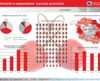 Walentynki w województwie kujawsko-pomorskim (infografika) Foto