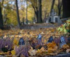 Cmentarze w województwie kujawsko-pomorskim Foto