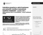 Koniunktura gospodarcza, opinie formułowane przez jednostki z siedzibą w województwie KUJAWSKO-POMORSKIM – czerwiec 2021 r. Foto