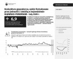 Koniunktura gospodarcza, opinie formułowane przez jednostki z siedzibą w województwie KUJAWSKO-POMORSKIM – luty 2020 r. Foto
