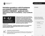 Koniunktura gospodarcza, opinie formułowane przez jednostki z siedzibą w województwie KUJAWSKO-POMORSKIM – październik 2020 r. Foto