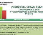 Produkcja upraw rolnych i ogrodniczych w województwie kujawsko-pomorskim w 2014 r. Foto