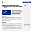 Badanie Aktywności Ekonomicznej Ludności  w województwie kujawsko-pomorskim w czwartym kwartale 2021 r. Foto