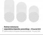 Biuletyn statystyczny województwa kujawsko-pomorskiego IV kwartał 2020 r. Foto