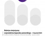 Biuletyn statystyczny województwa kujawsko-pomorskiego 3 kwartał 2025 r. Foto