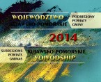 Województwo Kujawsko-Pomorskie 2014 - podregiony, powiaty, gminy Foto