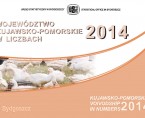 Województwo kujawsko-pomorskie w liczbach 2014 Foto