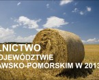Rolnictwo w województwie kujawsko-pomorskim w 2013 r. Foto