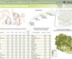 11.07. Światowy Dzień Ludności (infografika) Foto