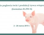 Badanie pogłowia świń i produkcji żywca wieprzowego (formularz R-ZW-S) Foto