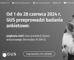 Badanie pogłowia świń oraz produkcji żywca wieprzowego (R-ZW-S) Foto