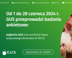 Badanie pogłowia świń oraz produkcji żywca wieprzowego (R-ZW-S) Foto