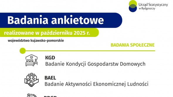 Badania ankietowe - październik