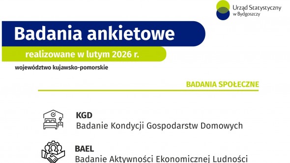 Badania ankietowe - luty 2026