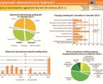 Aktywność ekonomiczna ludności (infografika) Foto